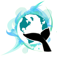 WS logo transparent